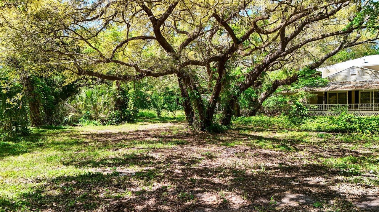 9240 Creston Avenue, New Port Richey, FL 34654 Photo