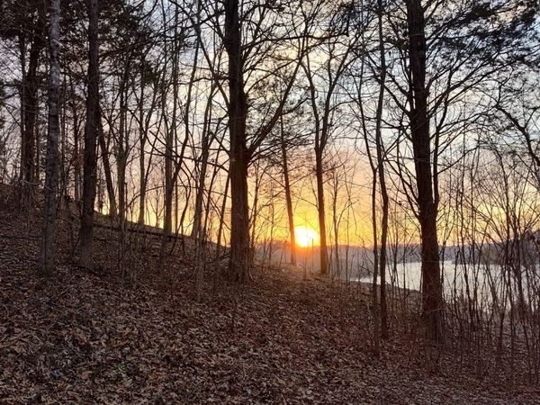 87 Harbor Pointe Dr, Silver Point, TN 38582