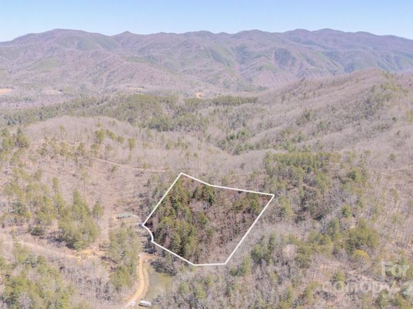 TBD Plum Tree Holler Drive, Hot Springs, NC 28743