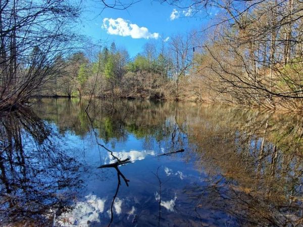 51+ ACRE Mountain Cove Way, Unit 1-8, Cherry Log, GA 30522