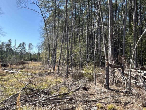 1 West Dallas County Line 20, Sparkman, AR 71763