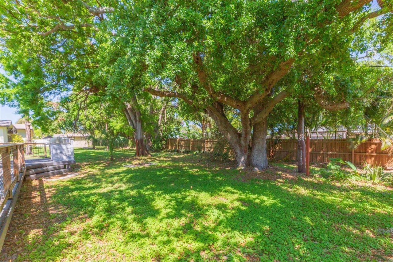 6426 31st Street S, Saint Petersburg, FL 33712 Photo