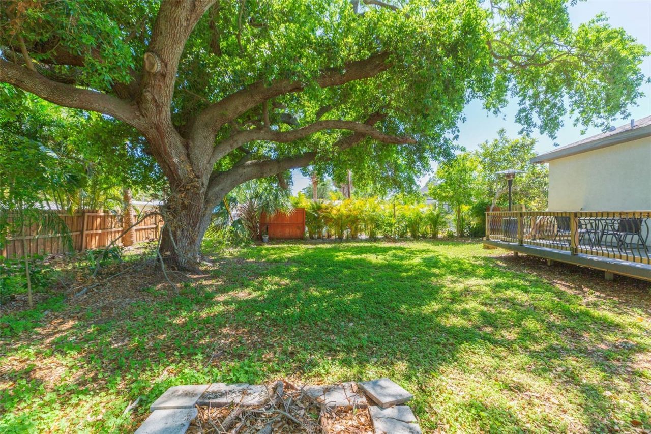 6426 31st Street S, Saint Petersburg, FL 33712 Photo