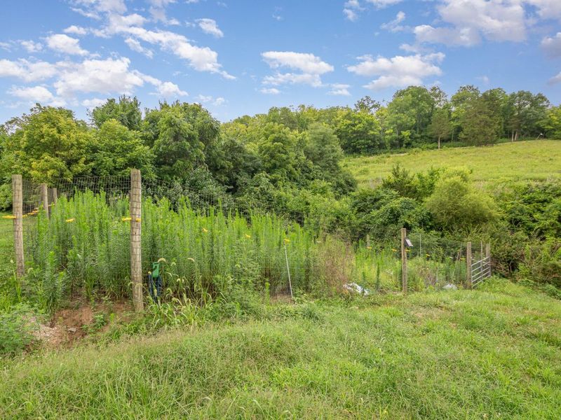 6436 Vineyard Lane, Melbourne, KY 41059 Photo 10