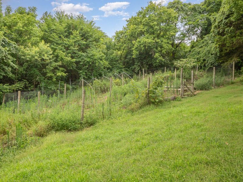 6436 Vineyard Lane, Melbourne, KY 41059 Photo 11