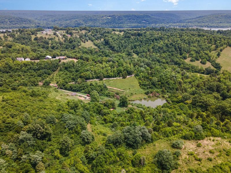 6436 Vineyard Lane, Melbourne, KY 41059 Photo 12