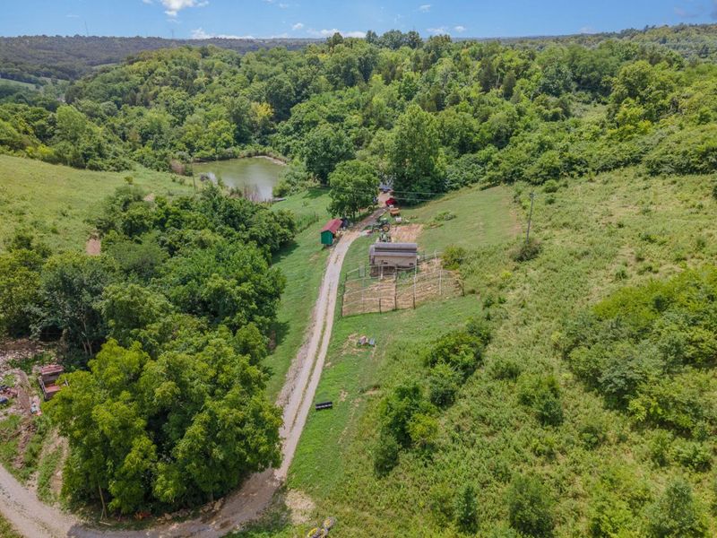 6436 Vineyard Lane, Melbourne, KY 41059 Photo 20