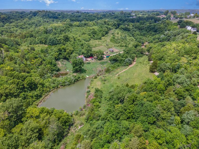 6436 Vineyard Lane, Melbourne, KY 41059 Photo 23