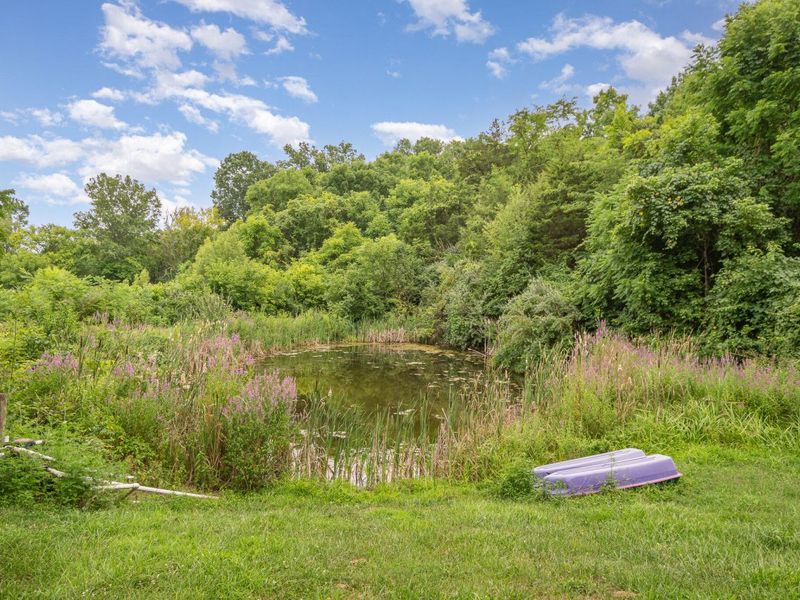 6436 Vineyard Lane, Melbourne, KY 41059 Photo 4