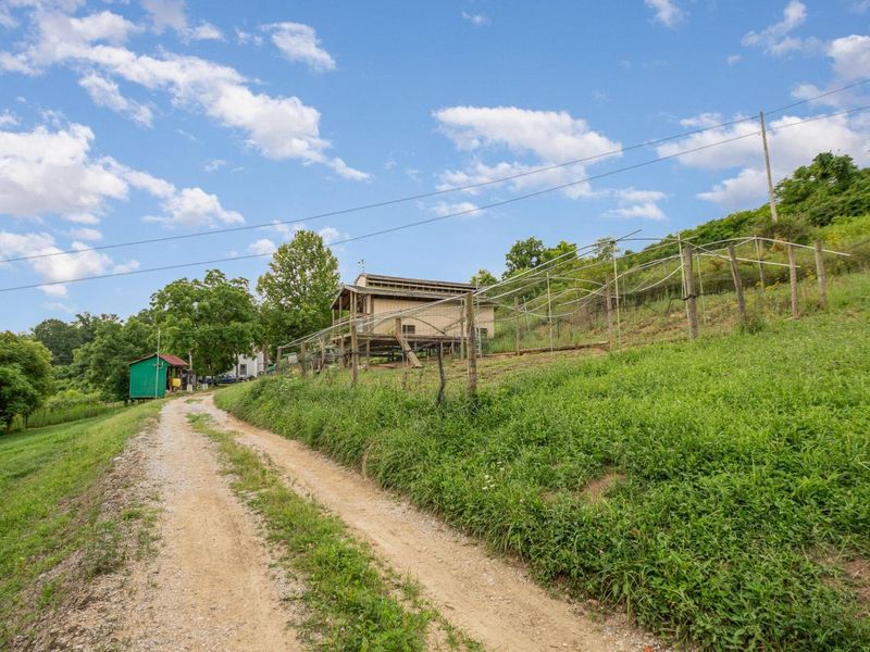 6436 Vineyard Lane, Melbourne, KY 41059 Photo 8