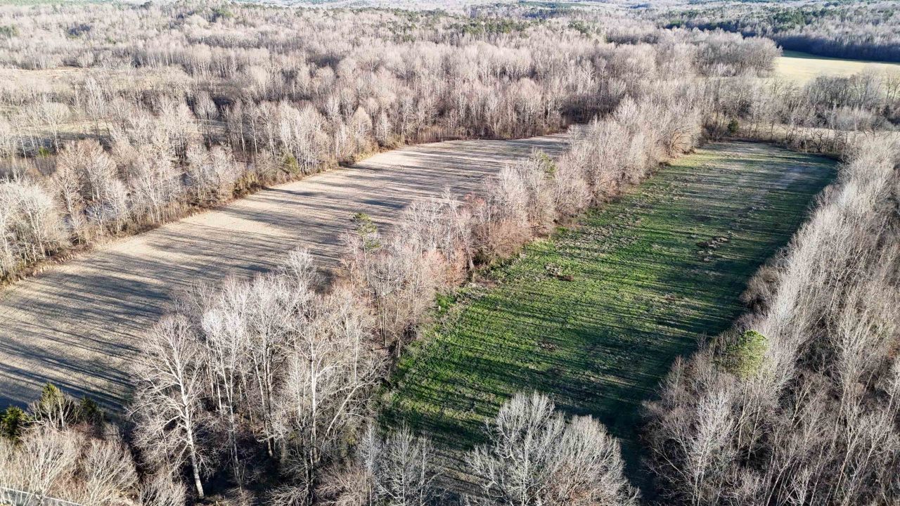 0 Highway 125 Hwy, Toone, TN 38381 Main Photo