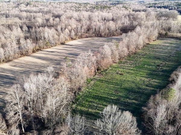 0 HIGHWAY 125 HWY, Toone, TN 38381