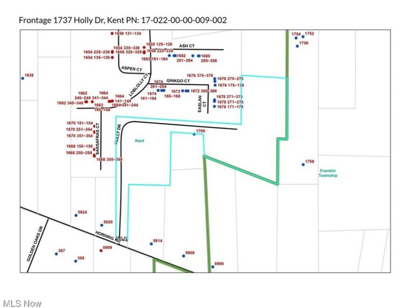 1737 Holly Drive, Kent, OH 44240 Photo 4