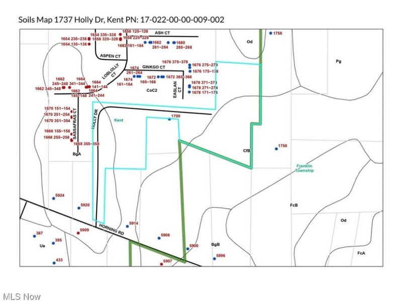 1737 Holly Drive, Kent, OH 44240 Photo 6