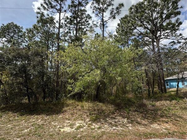 2 FRINGETREE COURT, HOMOSASSA, FL 34446