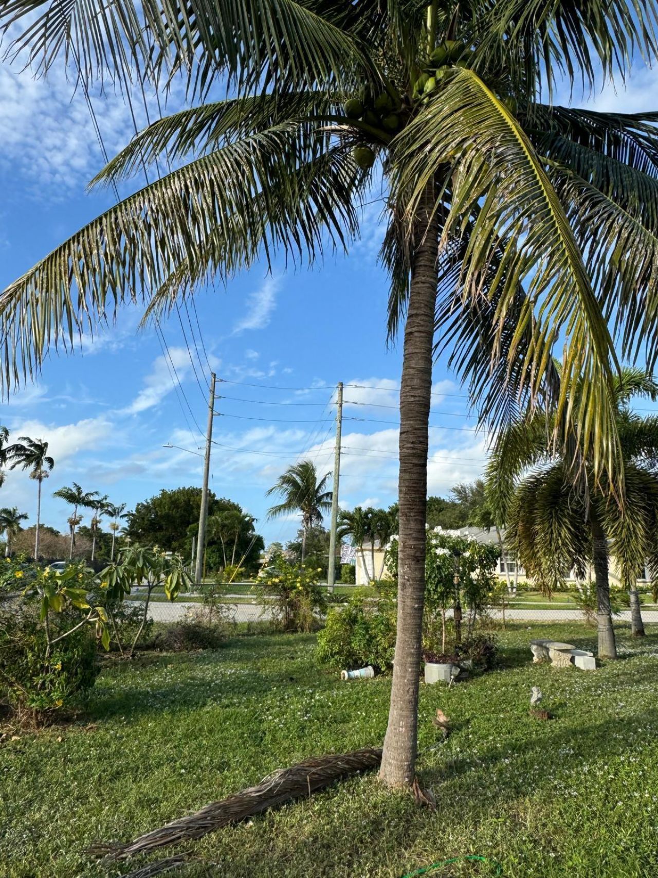 701 SW 8th Avenue, Delray Beach, FL 33444 Photo