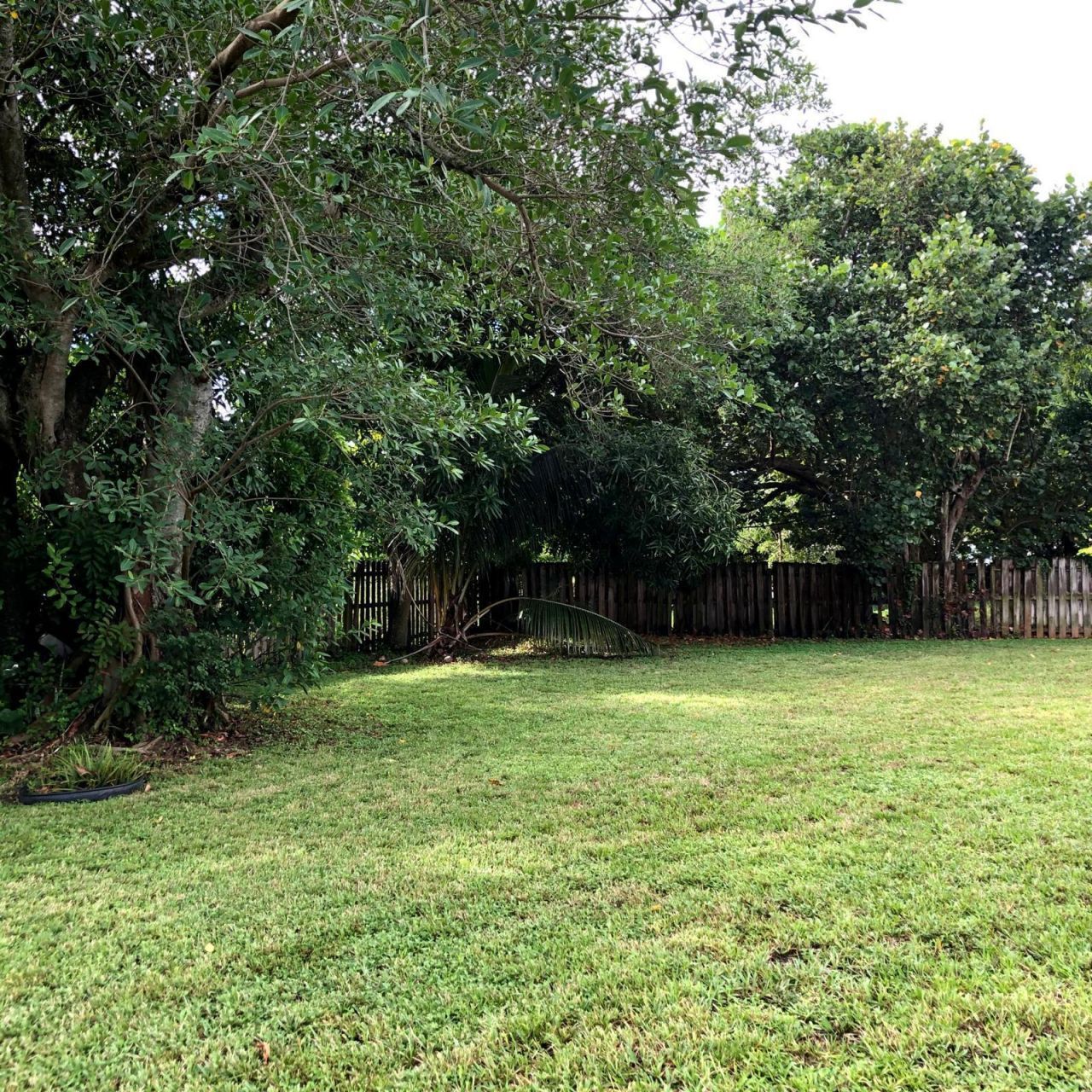 701 SW 8th Avenue, Delray Beach, FL 33444 Photo