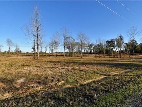 0 SOPHIE Lane, Dry Prong, LA 71423