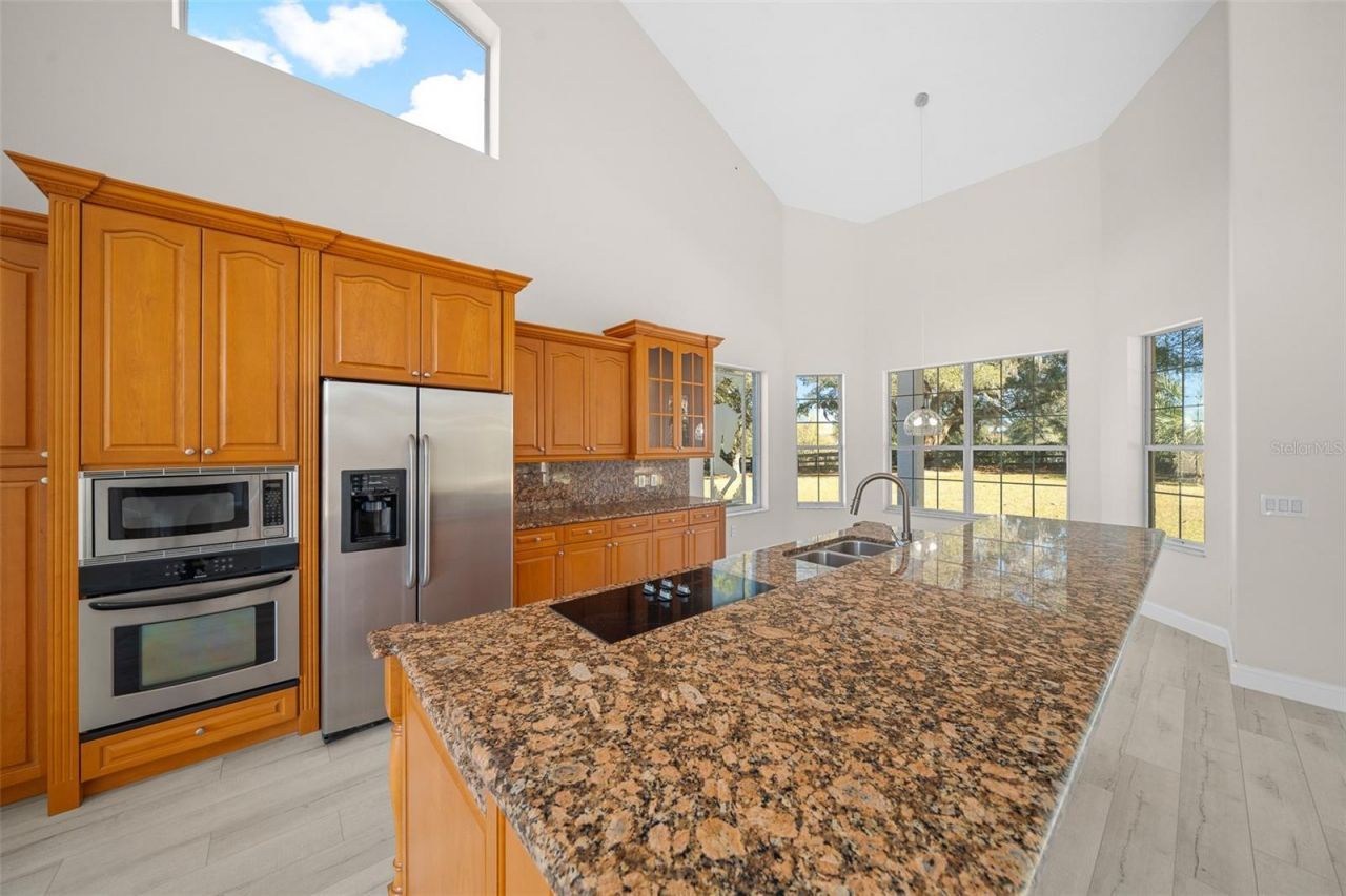 16921 SE 19th Court, Summerfield, FL 34491 Photo