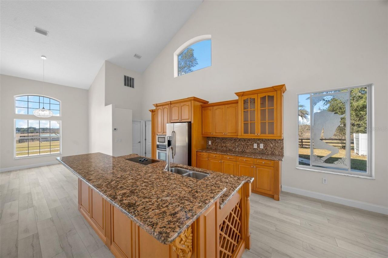 16921 SE 19th Court, Summerfield, FL 34491 Photo