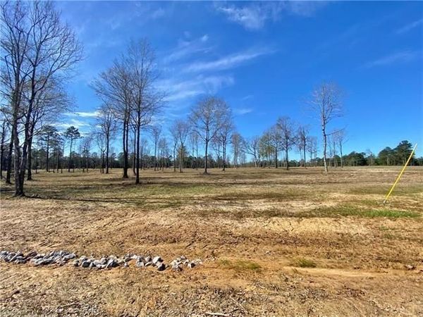 0 SOPHIE Lane, Dry Prong, LA 71423