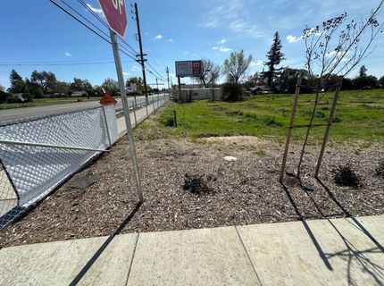 Hwy 99, Gridley, CA 95948 Photo