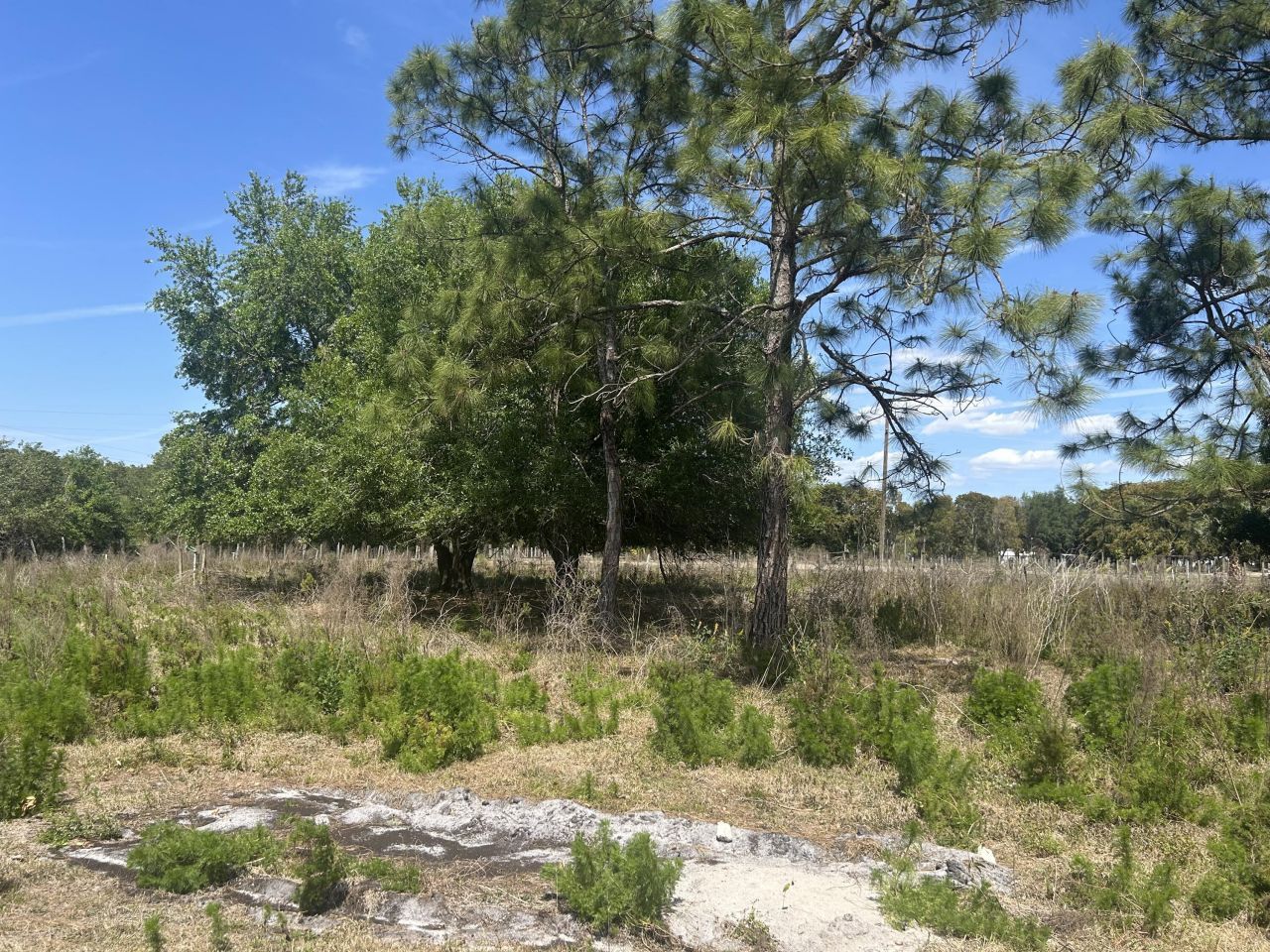 4810 Windmill Road, Loxahatchee, FL 33470 Photo