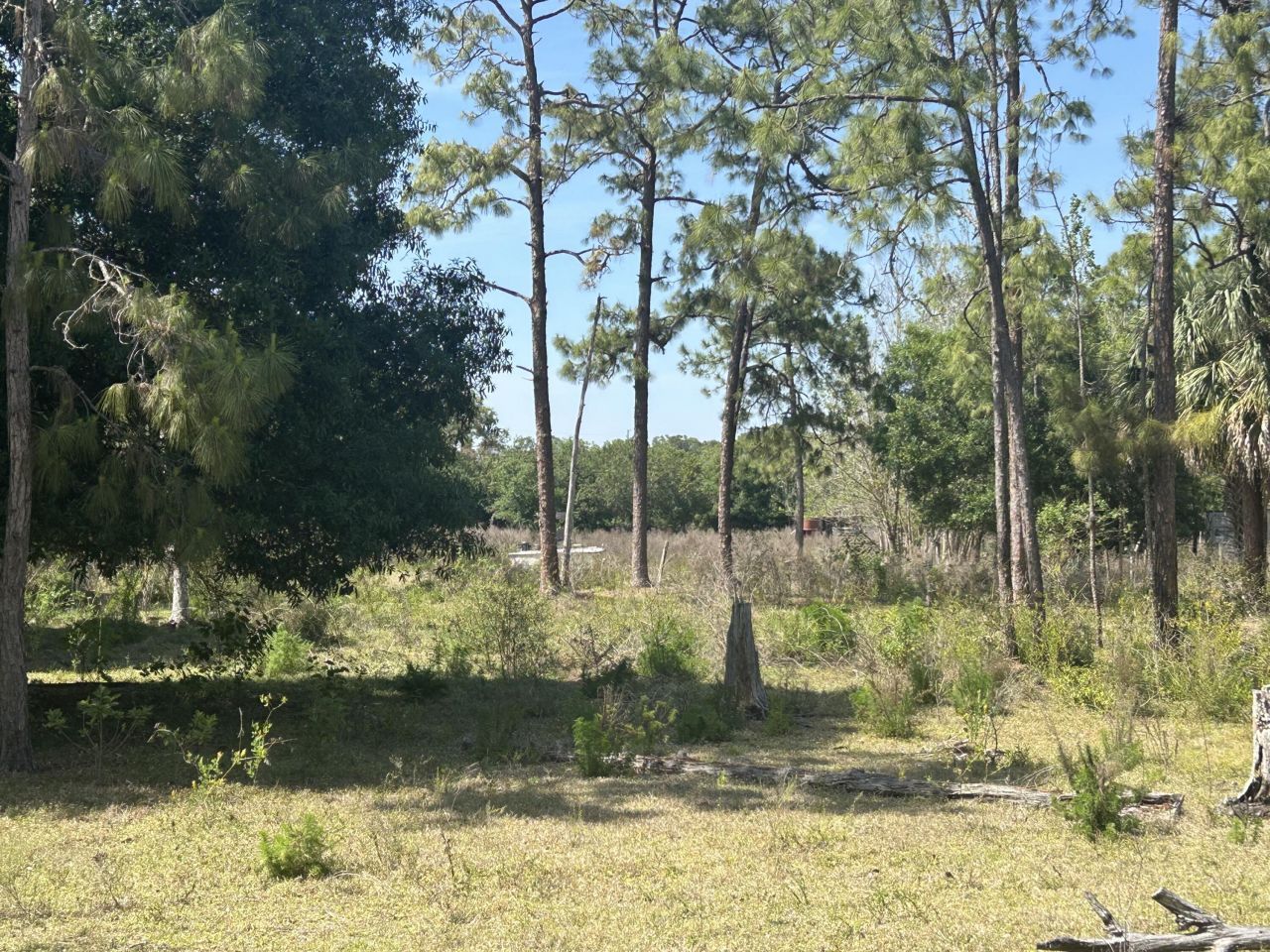 4810 Windmill Road, Loxahatchee, FL 33470 Photo