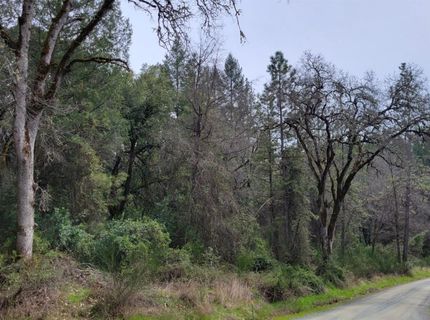 3291 Stage Trail Rd, Greenwood, CA 95635 Photo