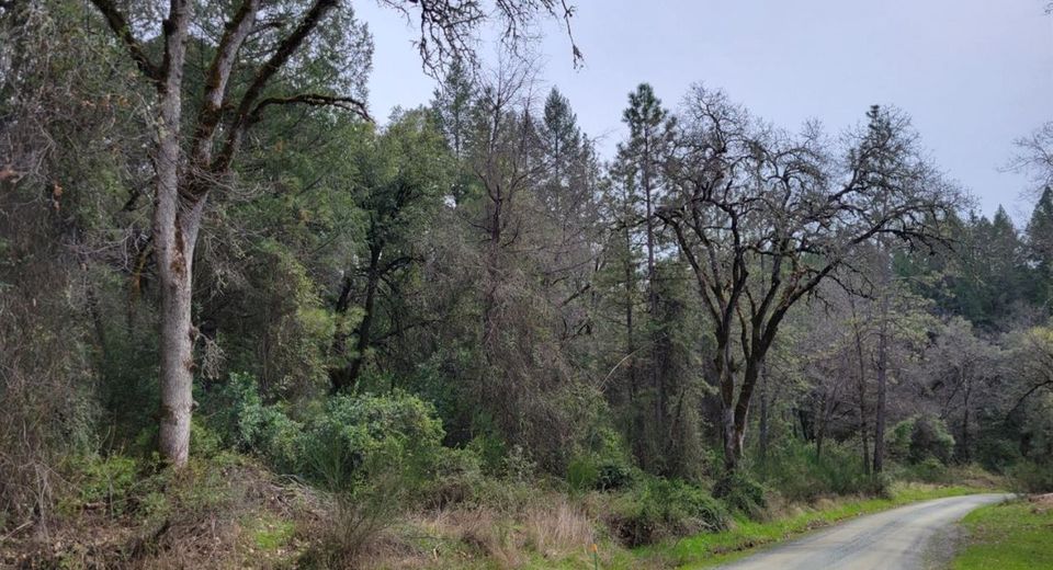 3291 Stage Trail Rd, Greenwood, CA 95635 Photo