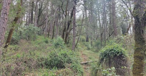 3291 Stage Trail Rd, Greenwood, CA 95635 Photo