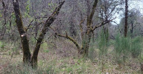 3291 Stage Trail Rd, Greenwood, CA 95635 Photo