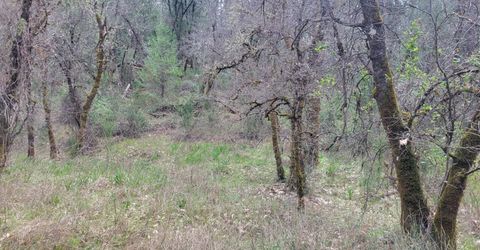 3291 Stage Trail Rd, Greenwood, CA 95635 Photo