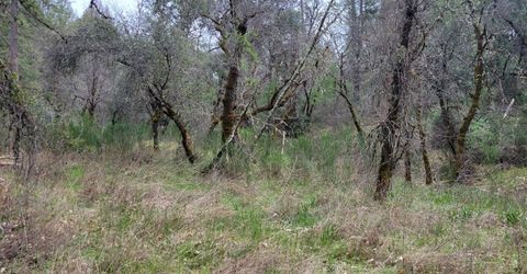 3291 Stage Trail Rd, Greenwood, CA 95635 Photo