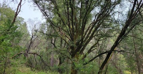 3291 Stage Trail Rd, Greenwood, CA 95635 Photo