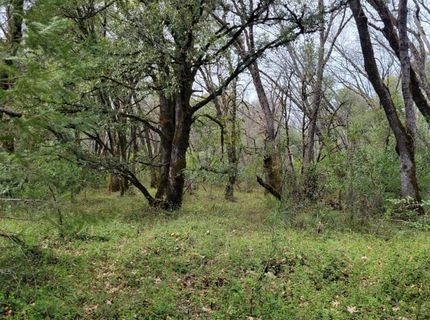 3291 Stage Trail Rd, Greenwood, CA 95635 Photo