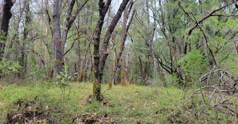 3291 Stage Trail Rd, Greenwood, CA 95635 Photo