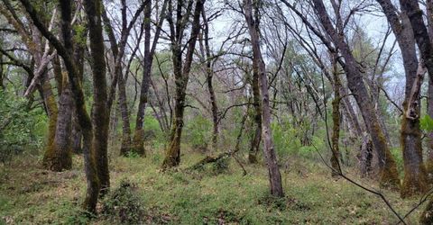 3291 Stage Trail Rd, Greenwood, CA 95635 Photo