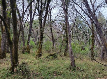 3291 Stage Trail Rd, Greenwood, CA 95635 Photo