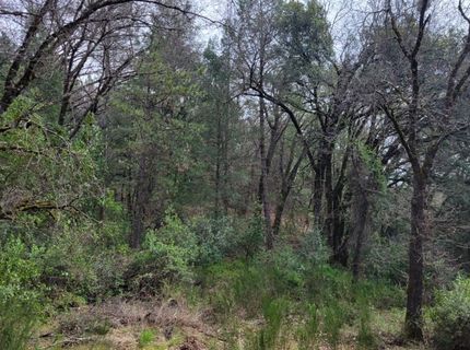 3291 Stage Trail Rd, Greenwood, CA 95635 Photo