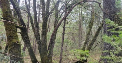 3291 Stage Trail Rd, Greenwood, CA 95635 Photo