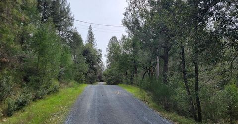 3291 Stage Trail Rd, Greenwood, CA 95635 Photo