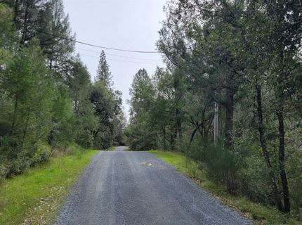 3291 Stage Trail Rd, Greenwood, CA 95635 Photo