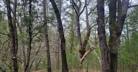 3291 Stage Trail Rd, Greenwood, CA 95635 Photo