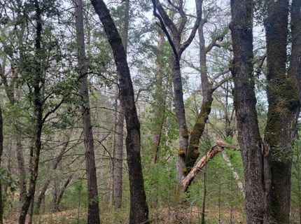 3291 Stage Trail Rd, Greenwood, CA 95635 Photo