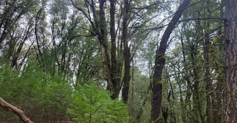 3291 Stage Trail Rd, Greenwood, CA 95635 Photo