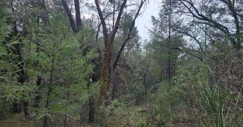 3291 Stage Trail Rd, Greenwood, CA 95635 Photo