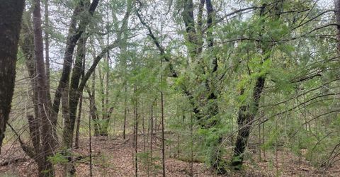 3291 Stage Trail Rd, Greenwood, CA 95635 Photo