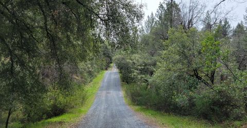 3291 Stage Trail Rd, Greenwood, CA 95635 Photo