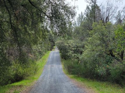 3291 Stage Trail Rd, Greenwood, CA 95635 Photo